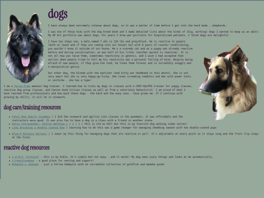 pets/mammals screenshot