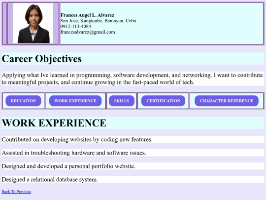 work experience screenshot