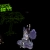 ★ DATH avatar