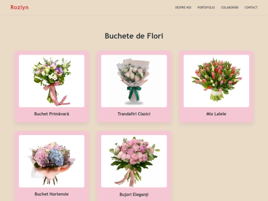 portofoliu screenshot