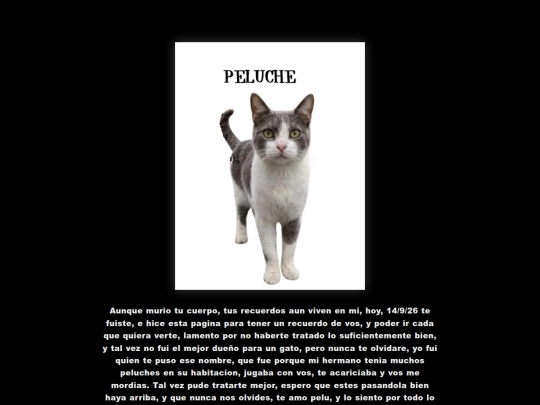 peluche screenshot