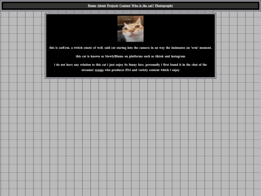 whatsthatcat screenshot