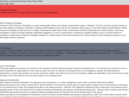 hc/nextjs-static-export-test/en/case-studies/perspective-strategies screenshot