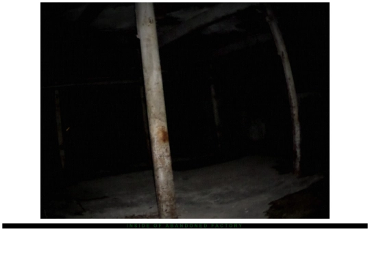 pic8 screenshot