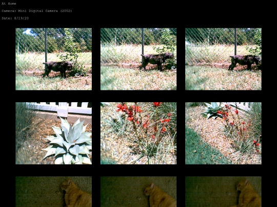 digicam/home/home_gallery1 screenshot
