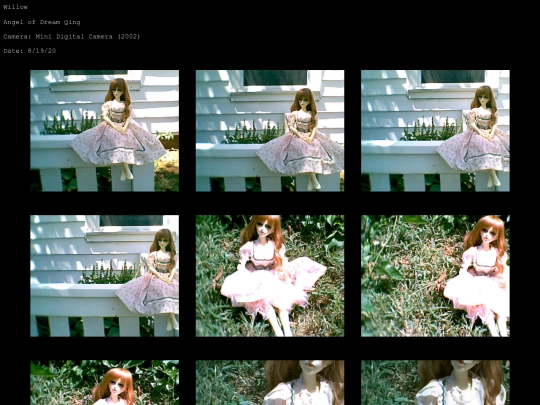 willow_gallery1 screenshot