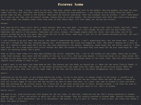 0_Writing/foreverhome screenshot