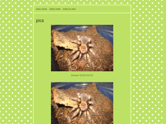 blog/minifeeds/pics screenshot