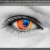 
      Desarrollo en HTML5, CSS y Javascript de WebApps, incl. móviles FirefoxOS* (4.ª ed.)
     avatar
