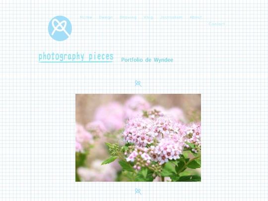 picf screenshot
