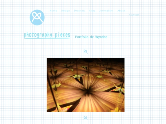 piclt screenshot