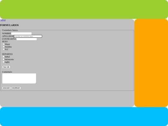 pag/formularios screenshot