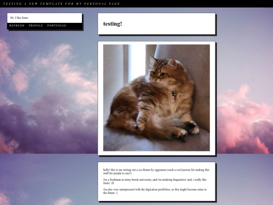 portfolio/profile screenshot