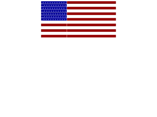 flag screenshot