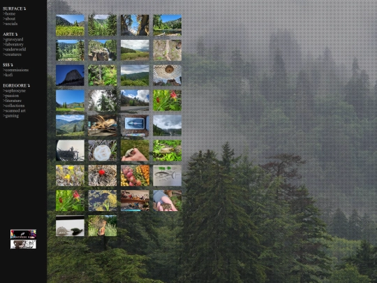 sophrosyne screenshot