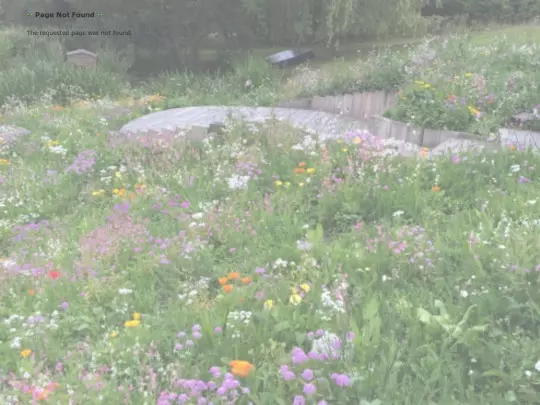 albums screenshot