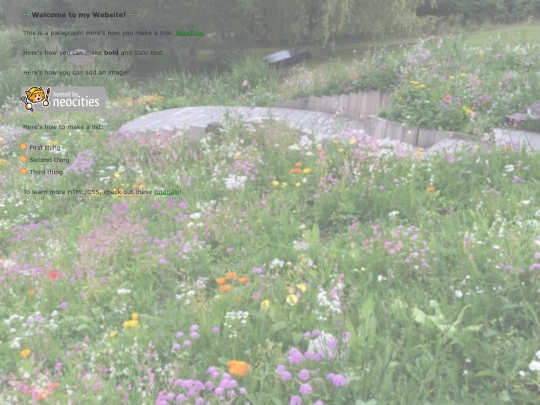 newblog screenshot