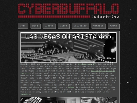 galleries/2024-fomapan-vegas screenshot