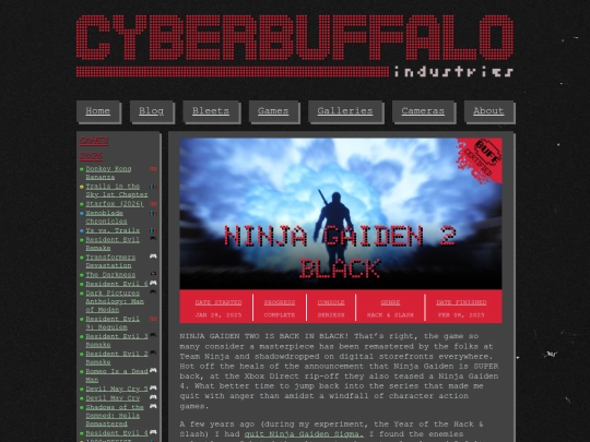 games/ninja-gaiden-2-black screenshot