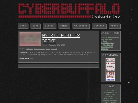 tags/broken/page/1 screenshot