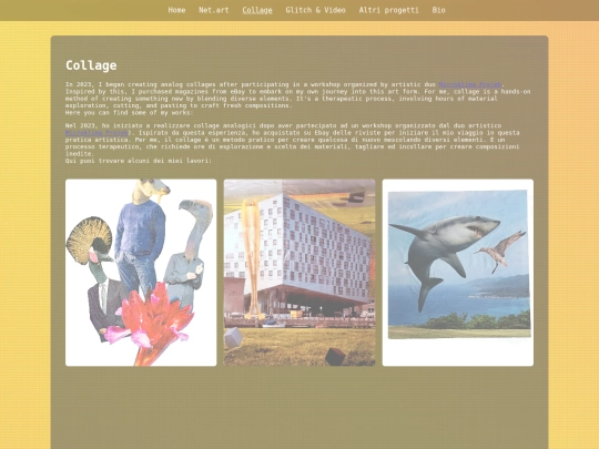 collage screenshot
