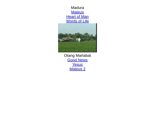 z/madura screenshot