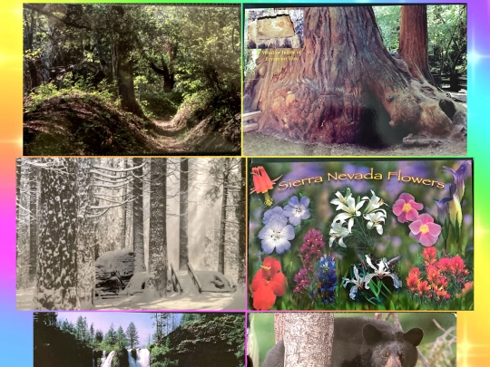 LOVE/postcard2 screenshot