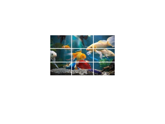 mainPuzzle screenshot