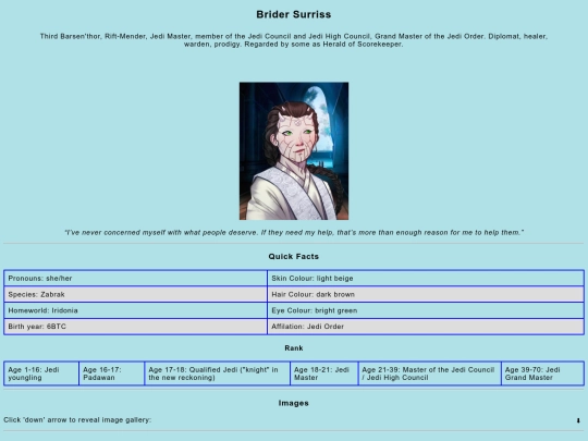 sw/reconstruction_legacy/brider screenshot