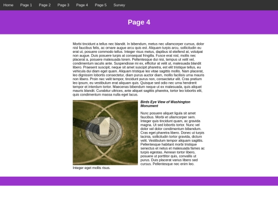 files/page4 screenshot
