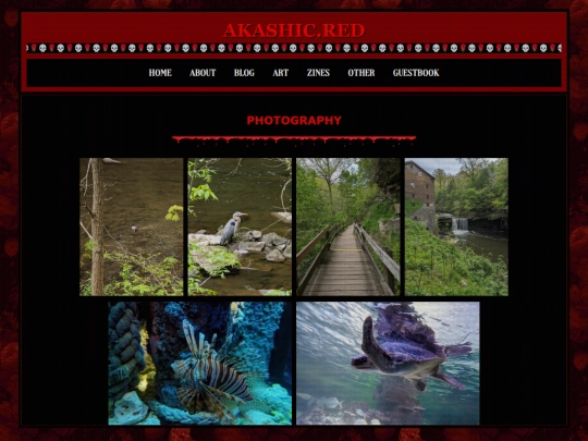 photography screenshot
