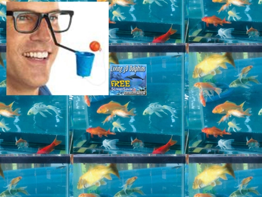 theaquarium screenshot