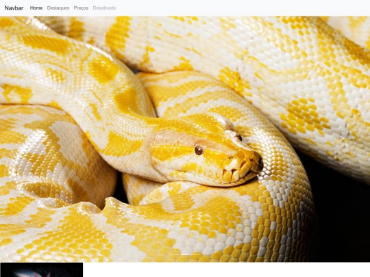 proj screenshot