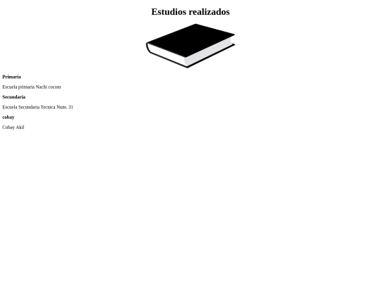 estudiosrealizados screenshot
