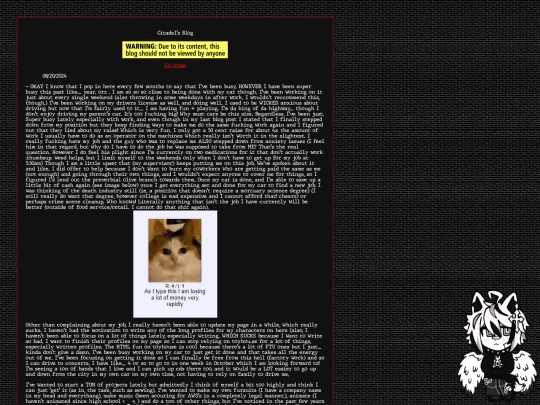 blog/blog screenshot