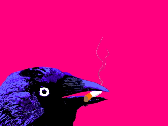 galleria/2 screenshot