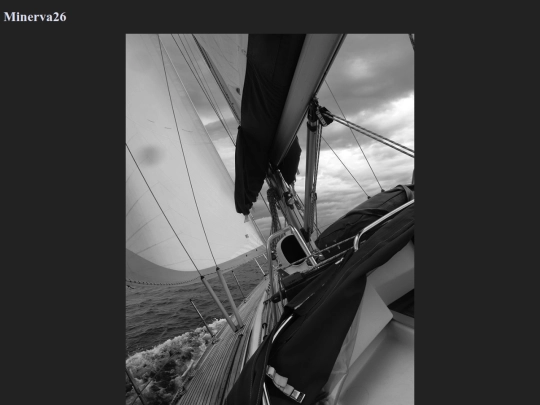 minerva26 screenshot