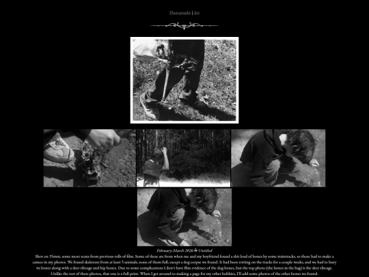 hobbies pages/photography screenshot