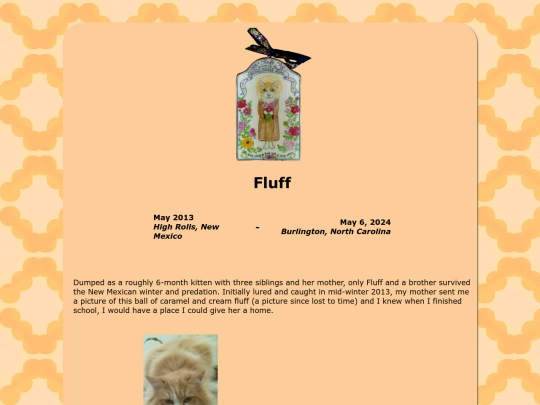 fluff-bio screenshot