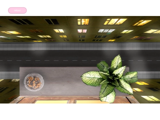 fenetre screenshot