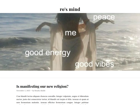 essay1 screenshot