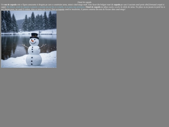 test/test screenshot