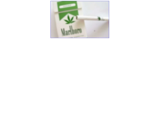 test screenshot