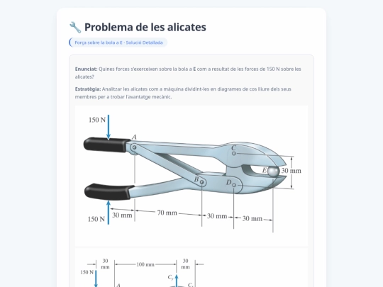 problemes/alicates screenshot