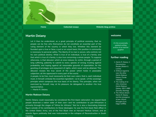 essays/BHM/delany screenshot