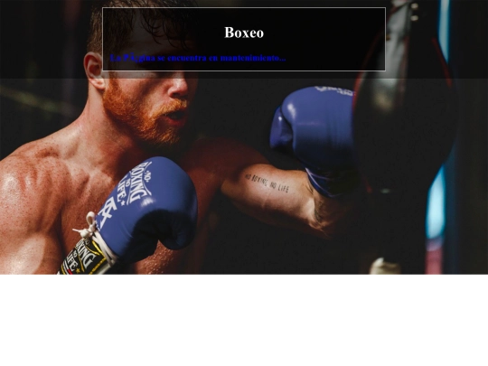 paginas/boxeo/boxeo screenshot
