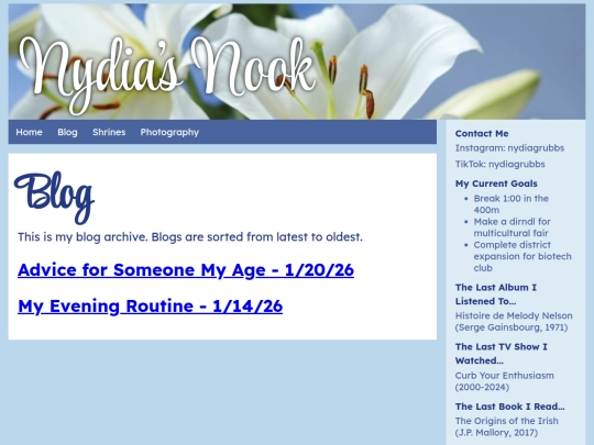 blog screenshot