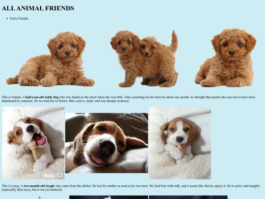 Animals screenshot