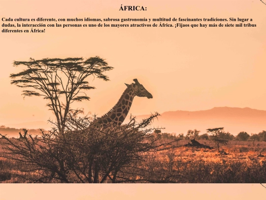 practica12/africa screenshot