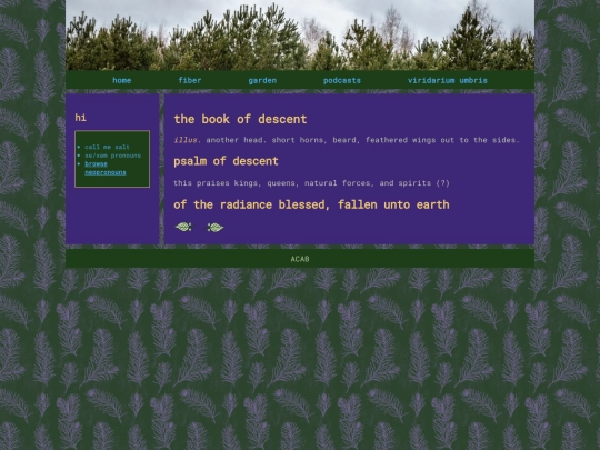 viridarium-umbris/05-descent screenshot